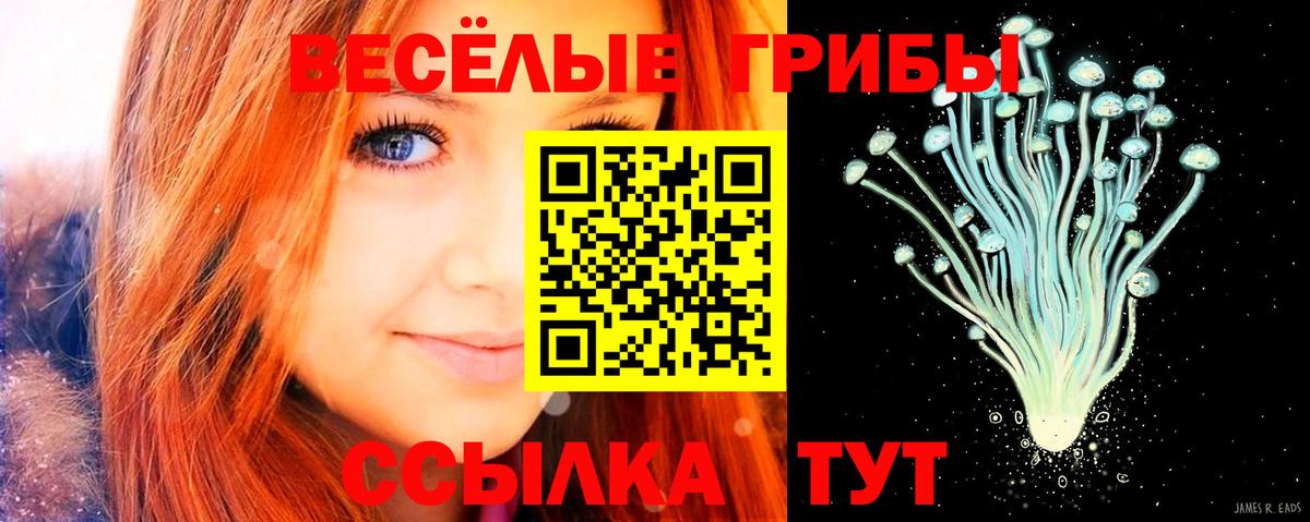 Псилоцибиновые грибы MAGIC MUSHROOMS  Вход с VPN  Люберцы 