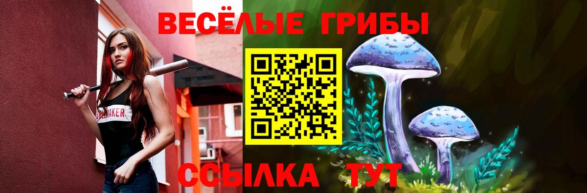 Галлюциногенные грибы мицелий Люберцы